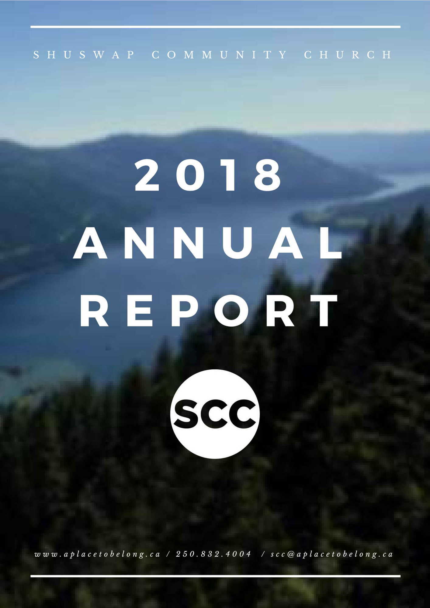 Preview of 2018 Annual Report