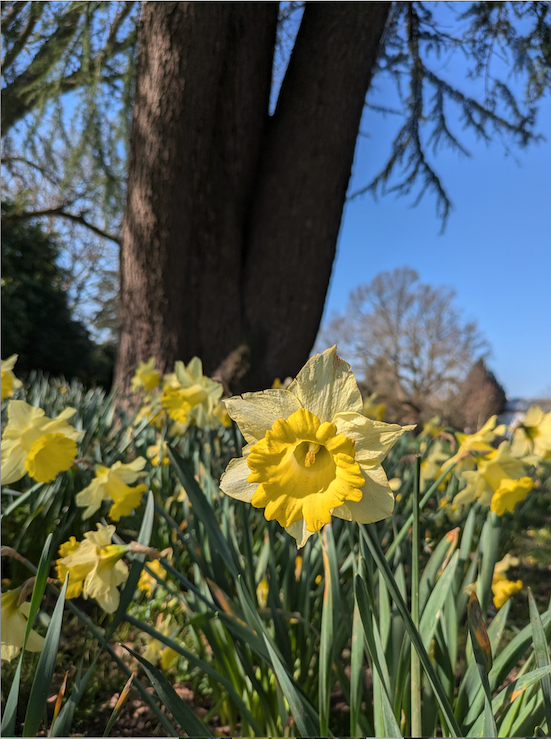 Header Image for News From Across The Pond